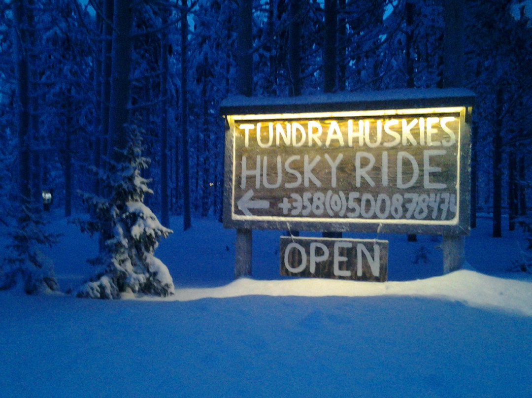 Tundra Huskies Huskyfarm-Levi必去景点