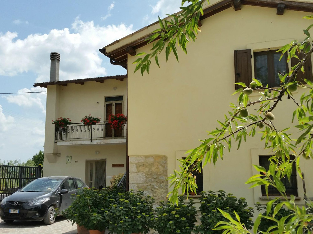 La Collina degli Ulivi
