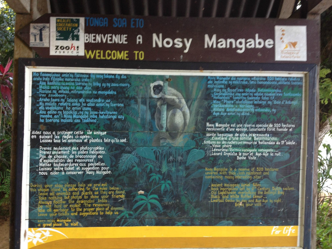 Nosy Mangabe Special Reserve景点图片