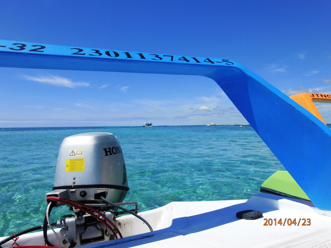 海豚发现秀-坎昆必去景点