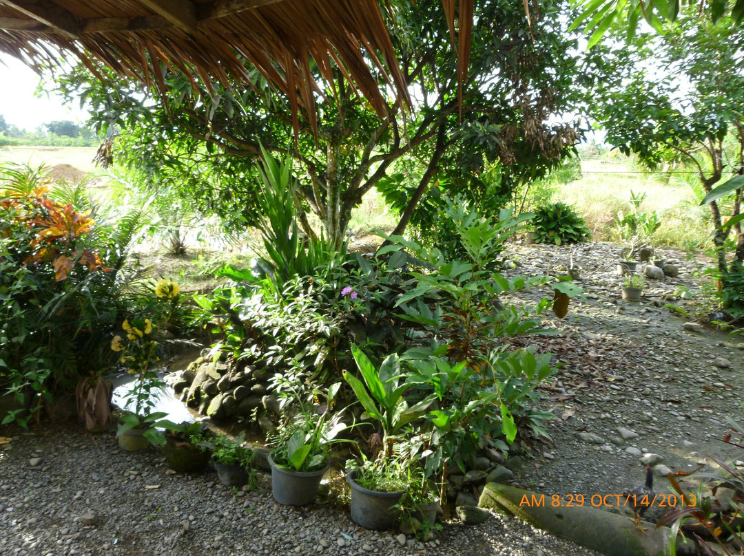 Wanda's Homestay主图