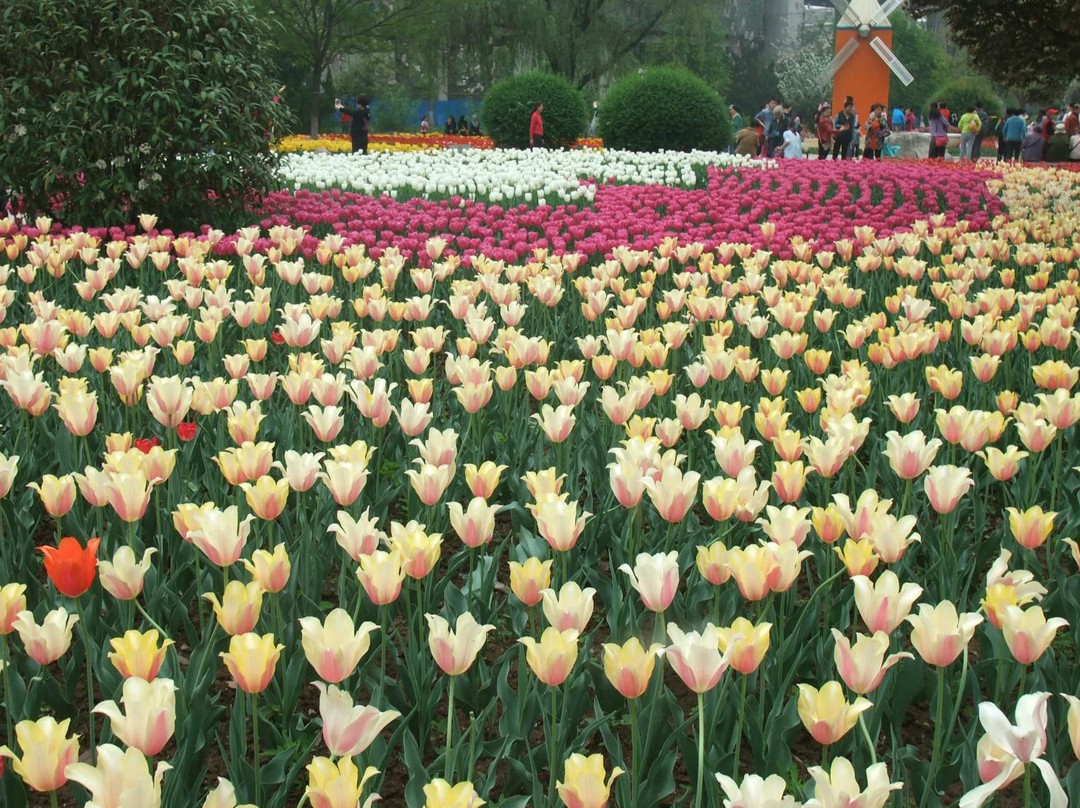 西安植物园-西安市必去景点