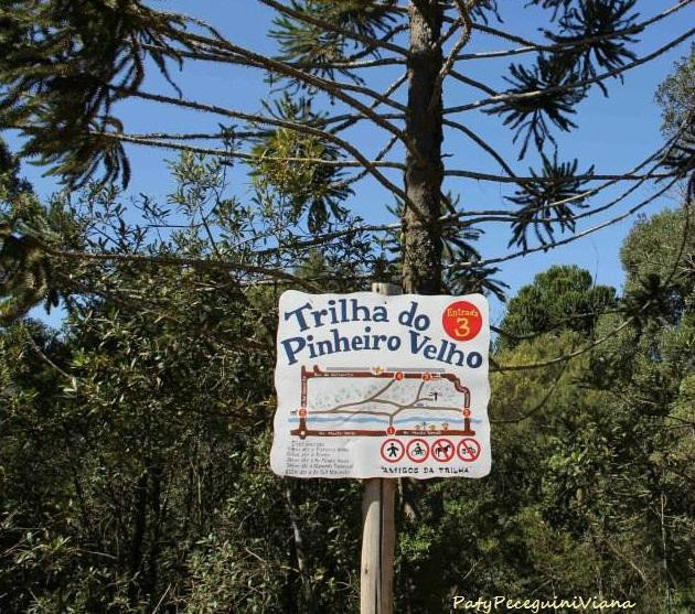 Trilha do Pinheiro Velho-蒙特贝尔德必去景点