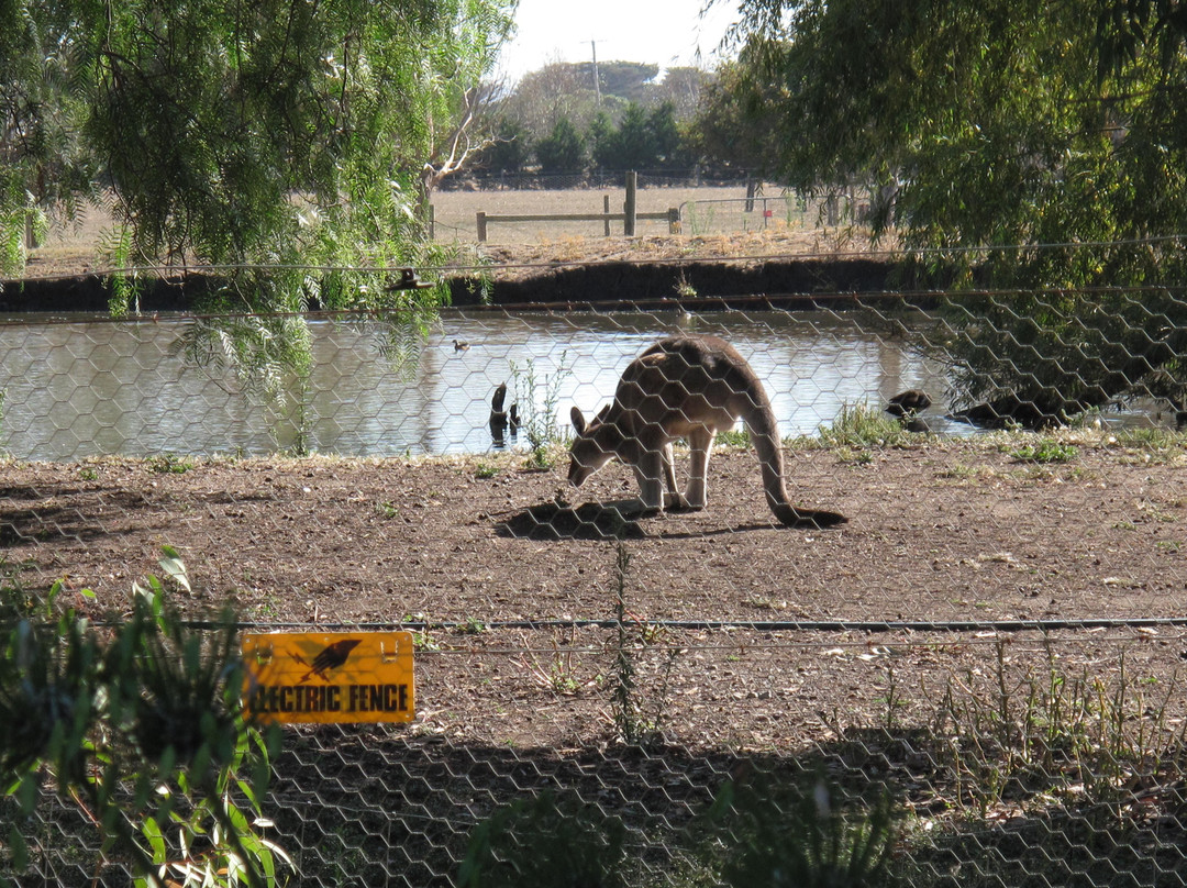 Warrook Farm-Monomeith必去景点