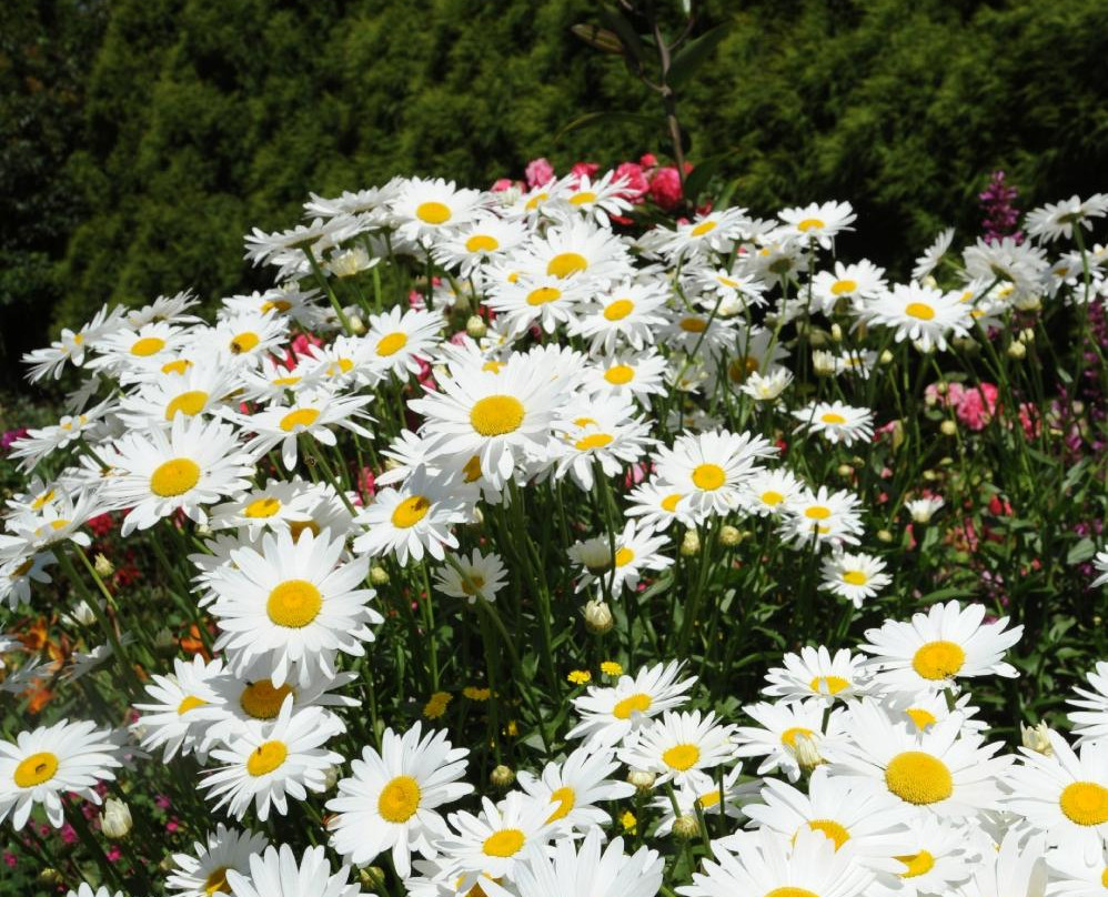 Allendale Gardens-Edith Creek必去景点