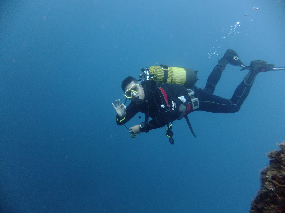 Octopus Scuba School景点图片