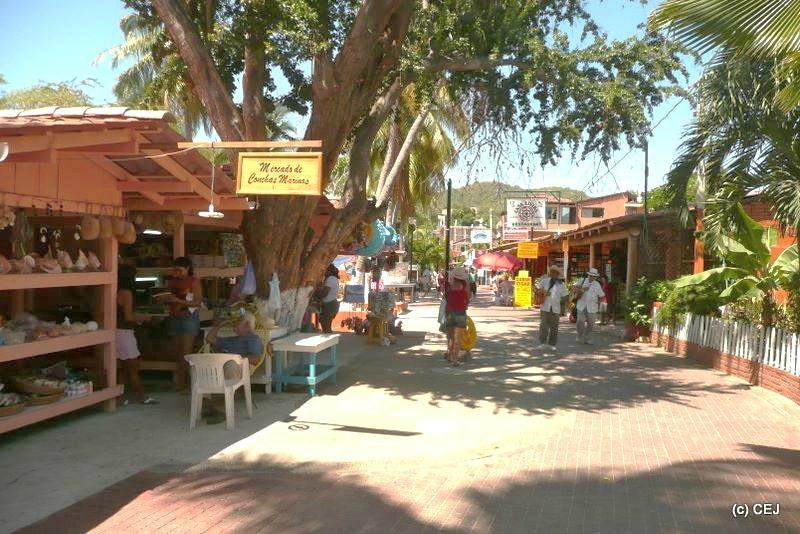 Paseo de Pescador景点图片