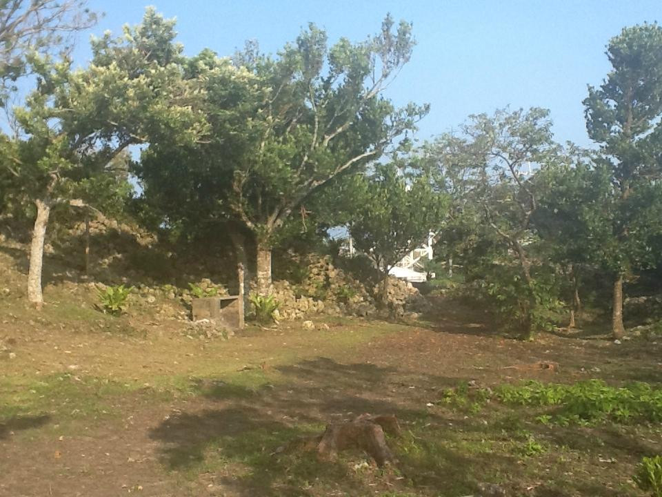 Ruins of Iha Castle景点图片