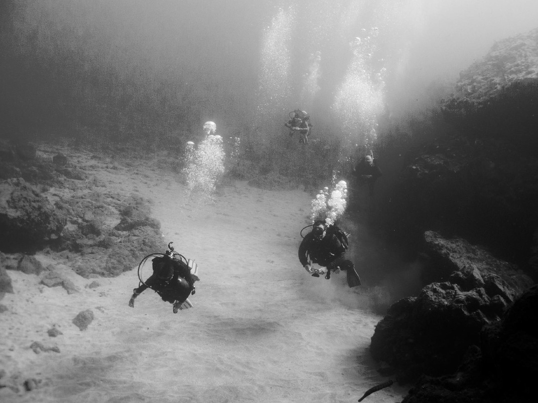 Amarilla Divers-Los Abrigos必去景点