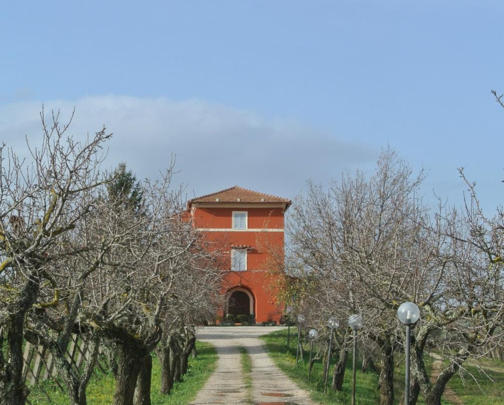 Agriturismo Villa Clementina主图