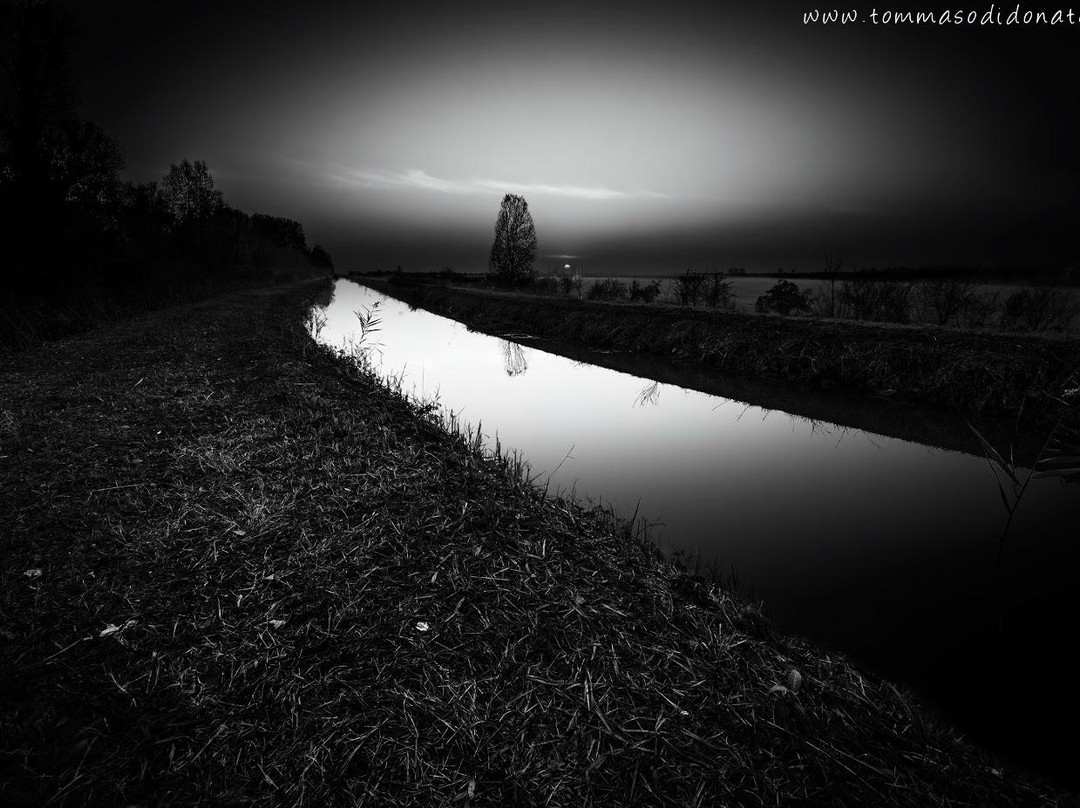 Oasi Di Punta Alberete景点图片