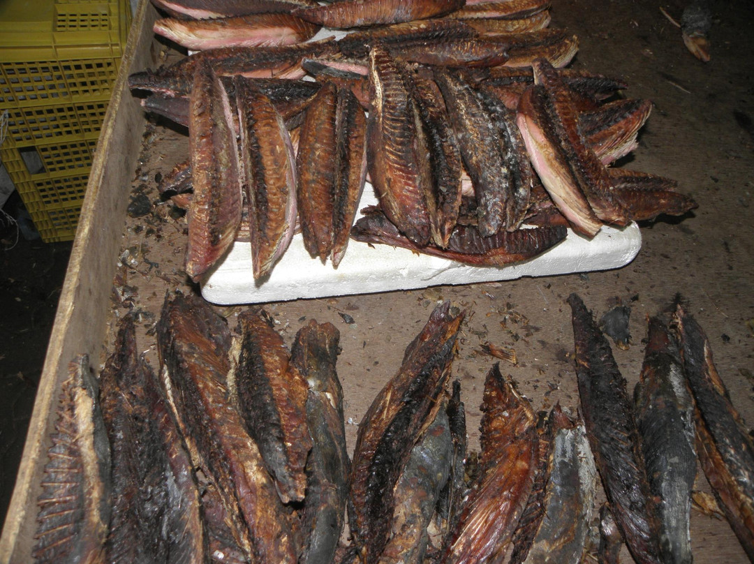 马累男士本地市场-马累必去景点