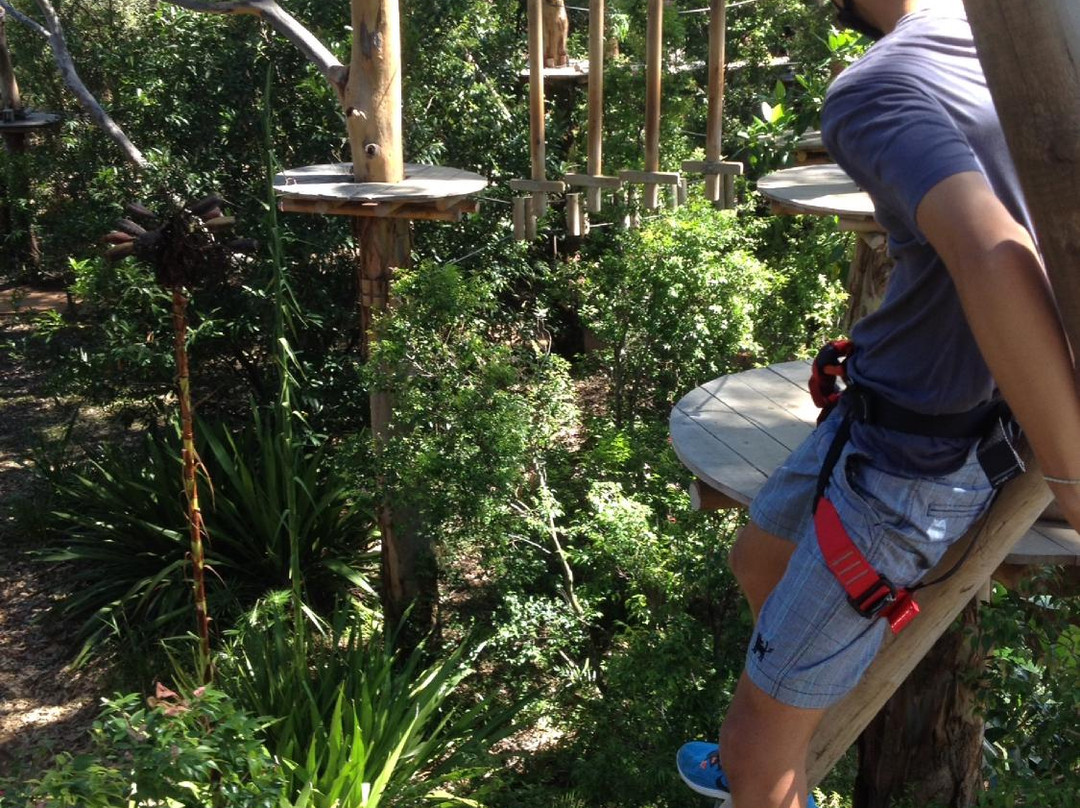 Urban Jungle Adventure Park景点图片