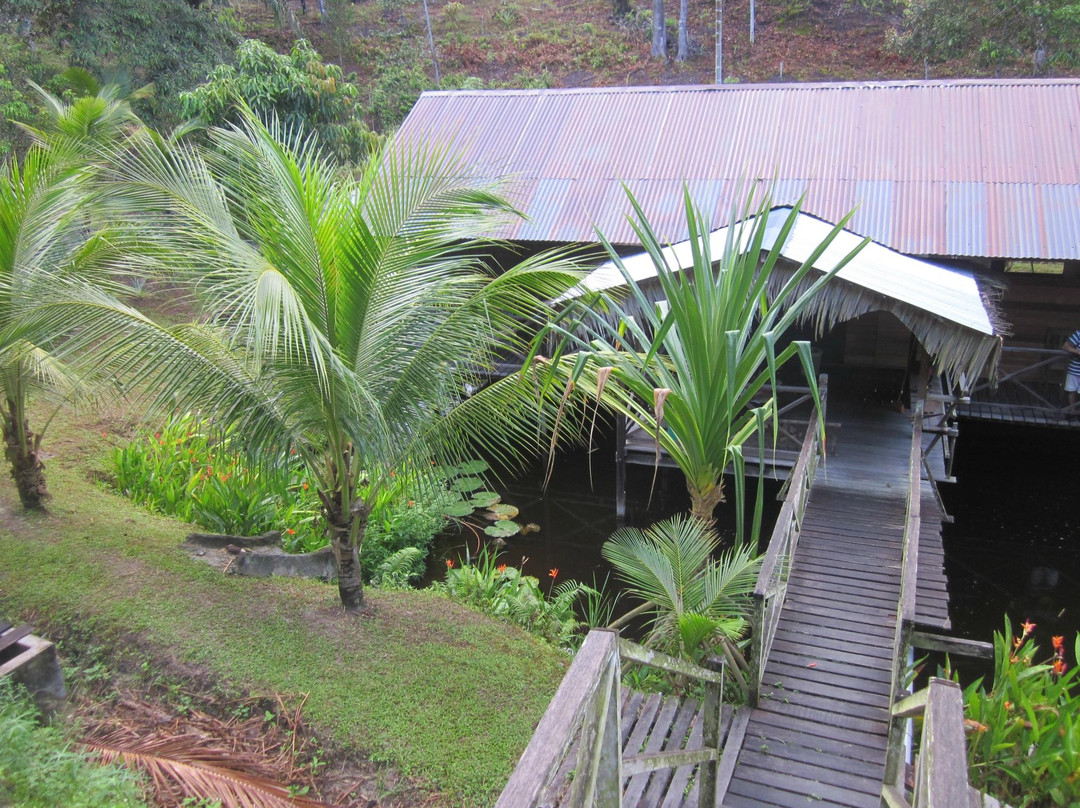 Treetops Lodge