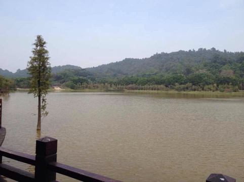 大夫山森林公园-广州市必去景点