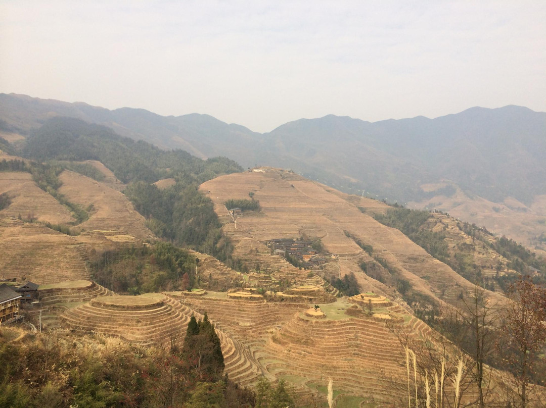 吾不知其名主图