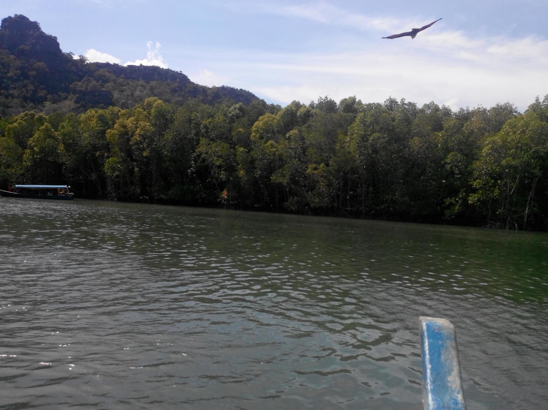Langkawi Mangrove Tour - Day Tours景点图片
