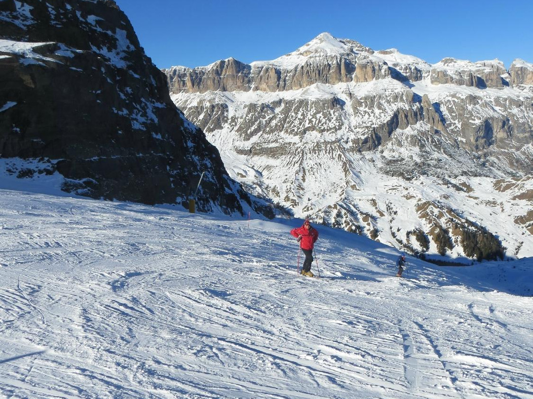 Ski and Snowboardschool Dolomites Reba-Arabba必去景点