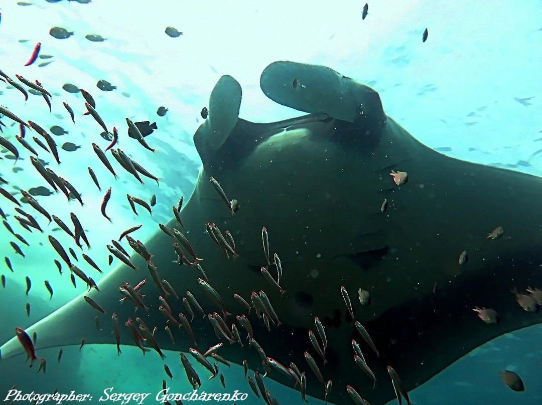 OK Club Diving Center-兰塔岛必去景点