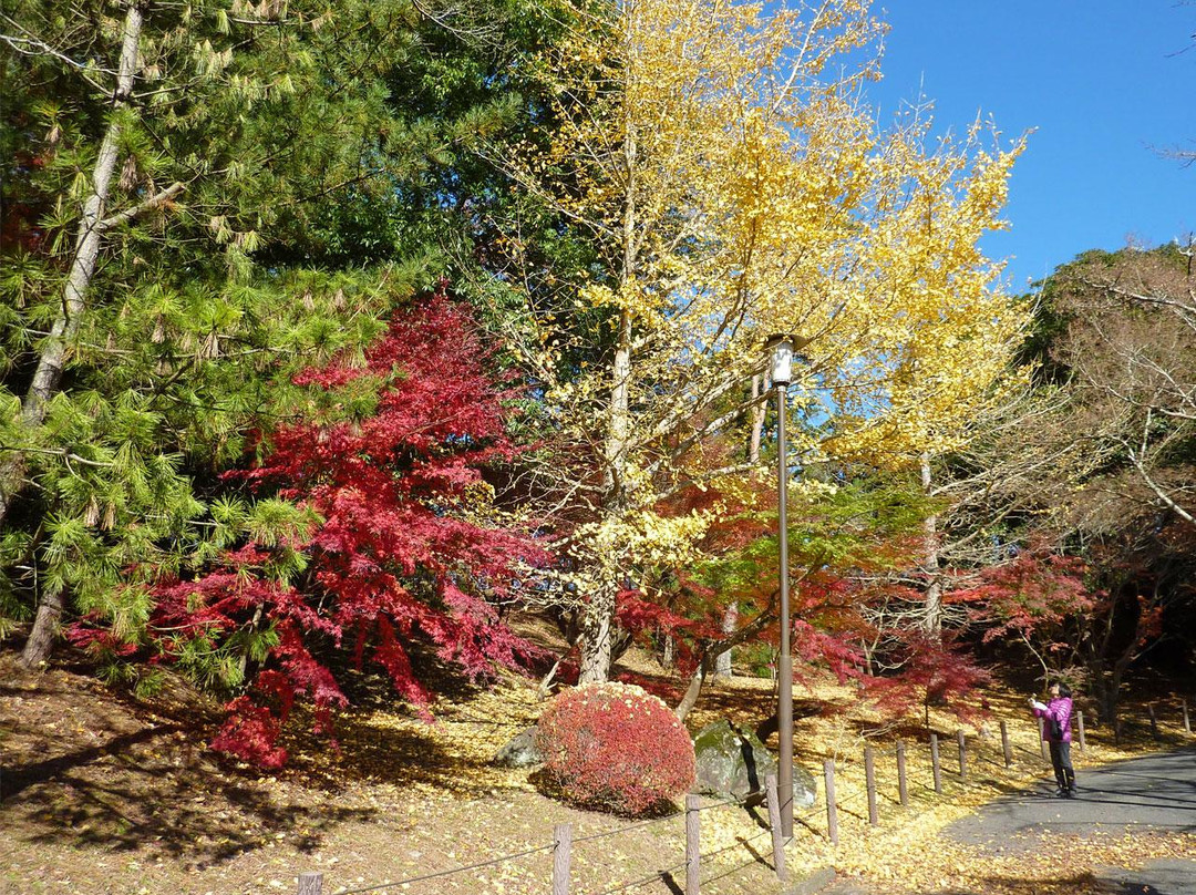成田公园-成田市必去景点