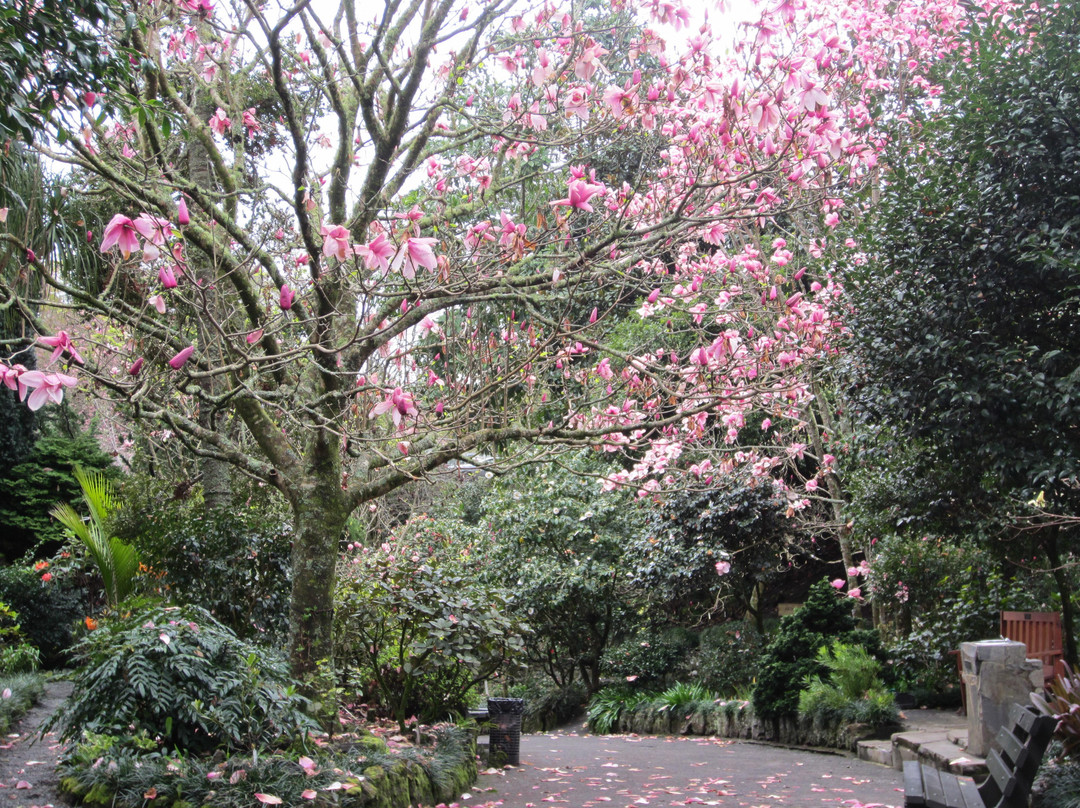 Eden Garden-埃普索姆必去景点