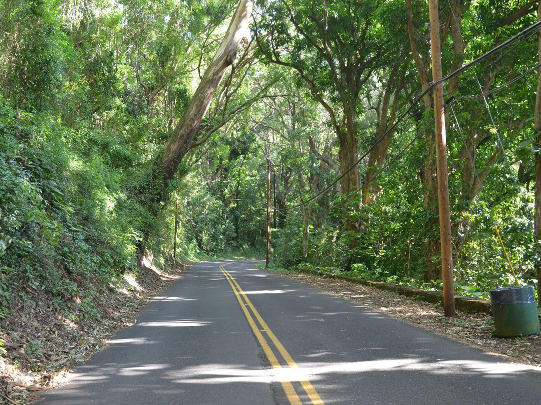 坦特拉斯观景台 普吾瓦拉卡州立公园-火奴鲁鲁必去景点
