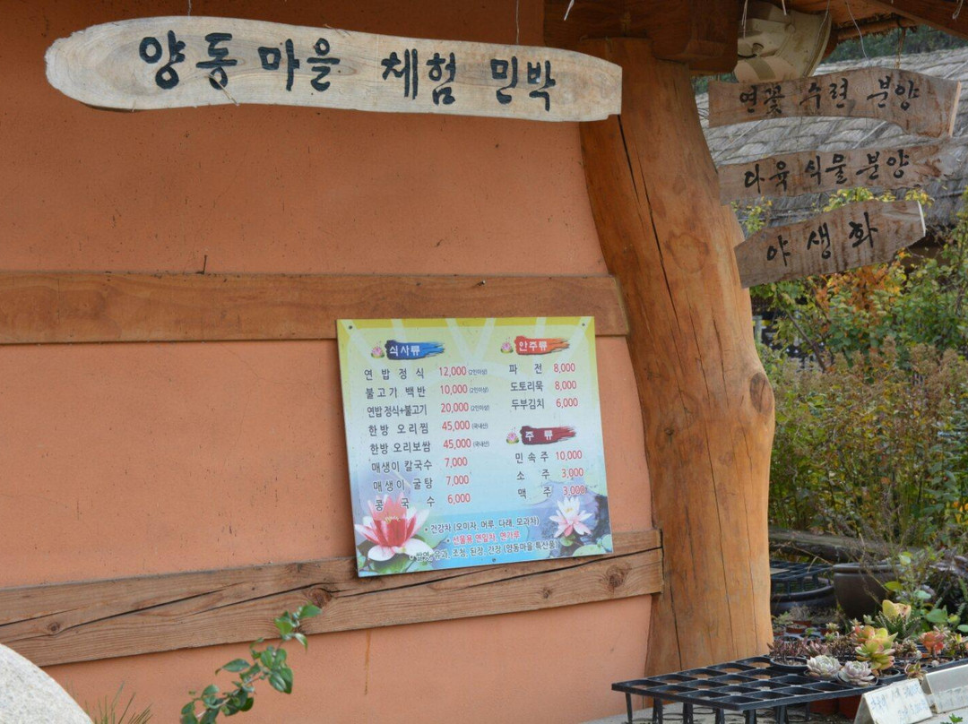 Yangdong Folk Village-庆州市必去景点