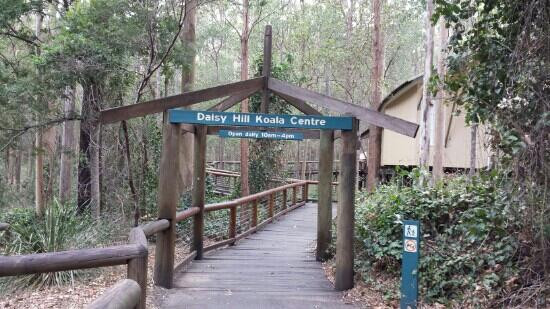 Daisy Hill Conservation Park and Koala Centre景点图片