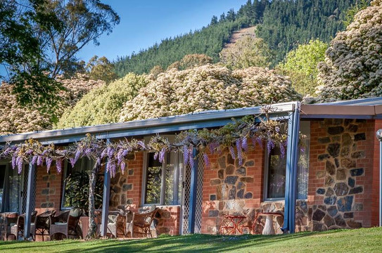 Bright Mystic Valley主图