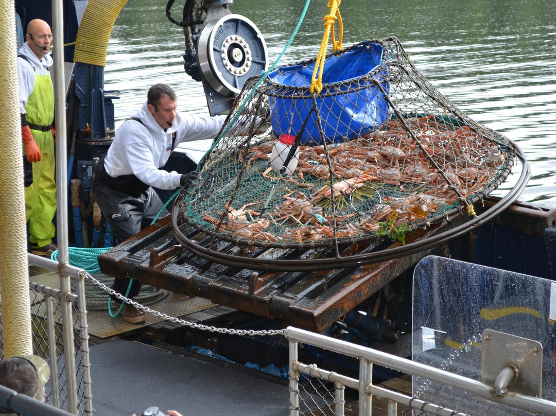 Bering Sea Crab Fishermen's Tour-凯奇坎必去景点