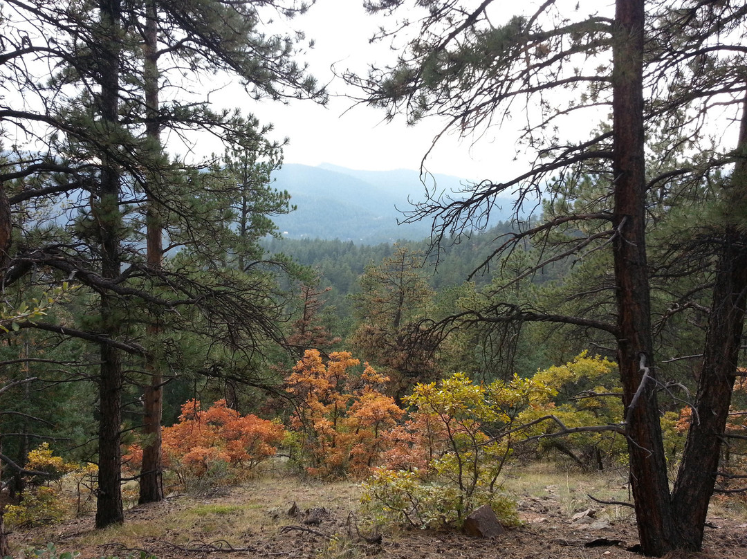 Mount Falcon Castle Trail-Morrison必去景点