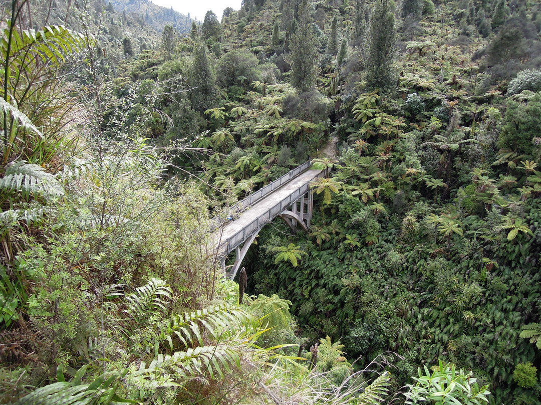 Whanganui River Adventures-Pipiriki必去景点