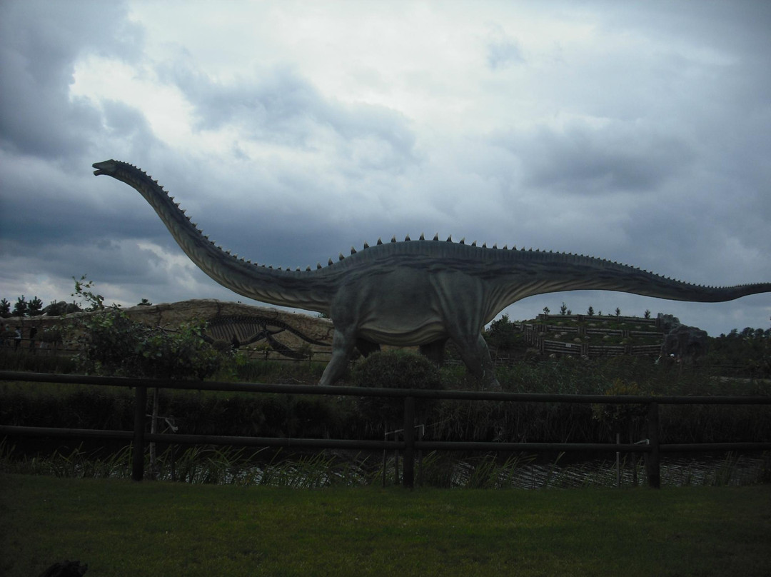 Park Dinozaurów景点图片