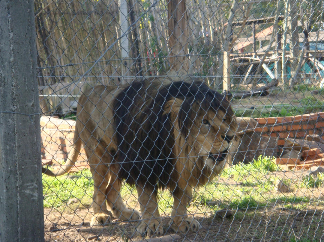 Zoo de la Ciudad de Salto景点图片