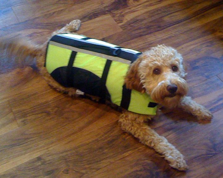 gabbi's Boutique-Henderson必去景点