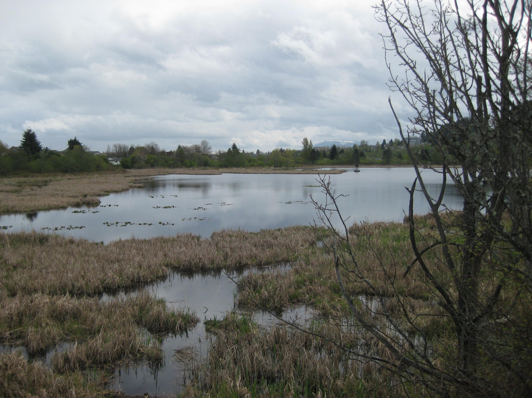 Buttertubs Marsh Park景点图片
