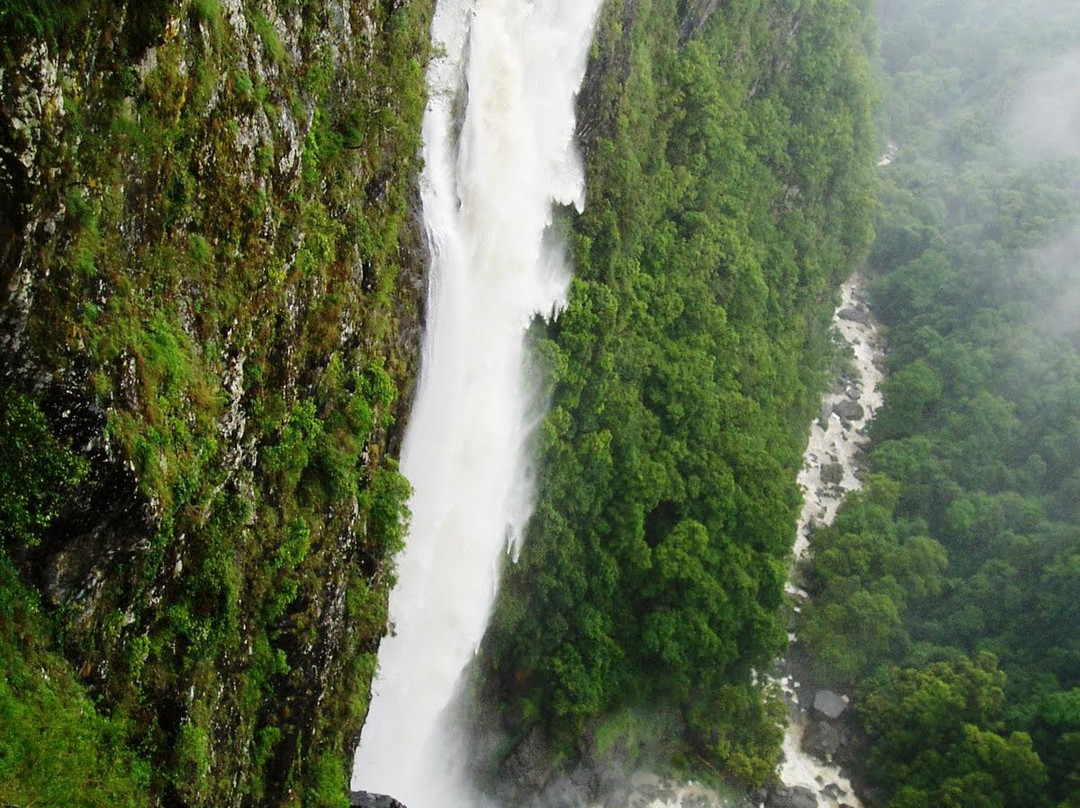 Ellenborough Falls Kiosk-Elands必去景点