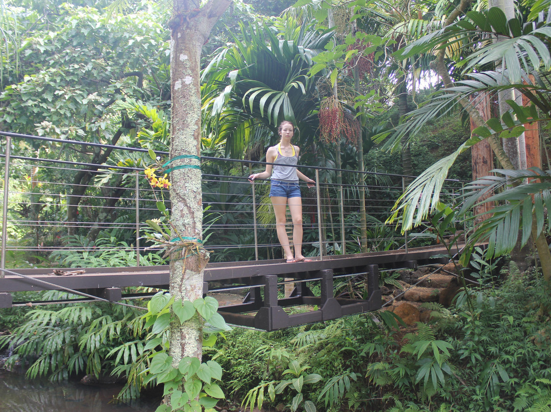 Kauai Island Experience-普林斯维尔必去景点