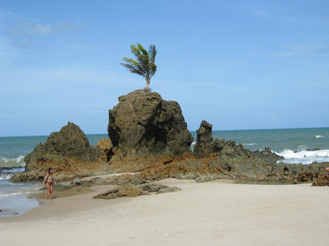 Praia de Tambaba-Conde必去景点