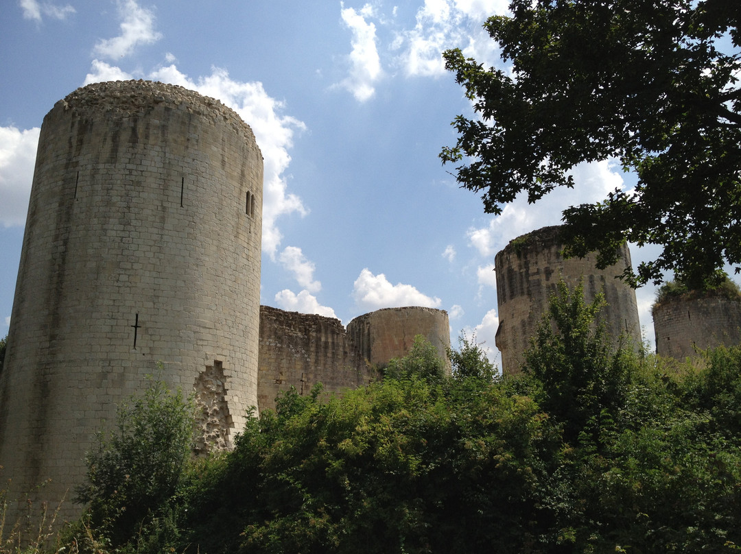 Chateau de Coudray-Salbart景点图片