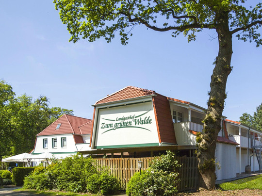 Dorum酒店住宿-Zum gruenen Walde