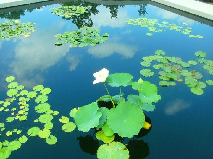 总督府-杰佛逊市必去景点