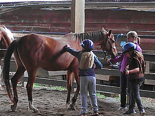 Morris's Shadow Mountain Stables-奥本必去景点