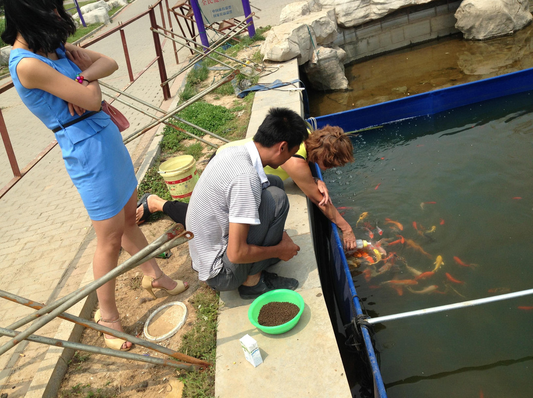 淄博王士祯纪念馆-桓台县必去景点