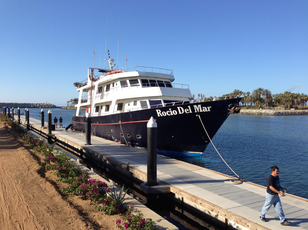 Socorro Island-卡波圣卢卡斯必去景点
