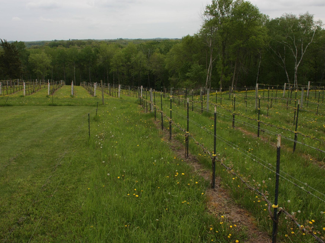 Garvin Heights Vineyards-威诺纳必去景点