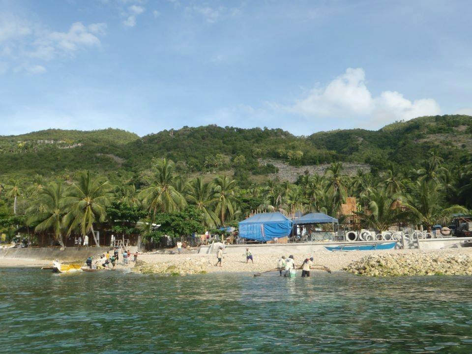 鲸鲨共游之旅-奥斯洛布必去景点