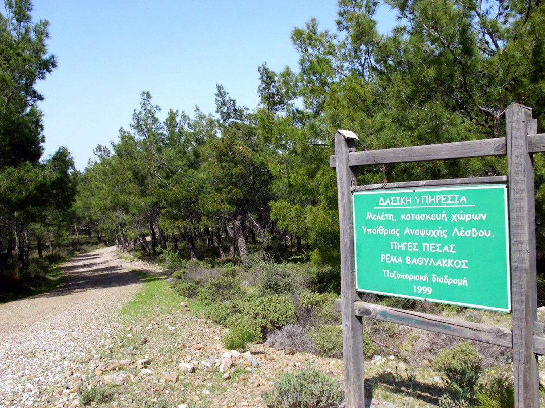 Pessa Springs-Lesbos必去景点