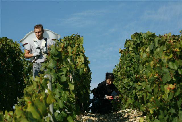 Domaine Céline & Frédéric Gueguen-Chablis必去景点