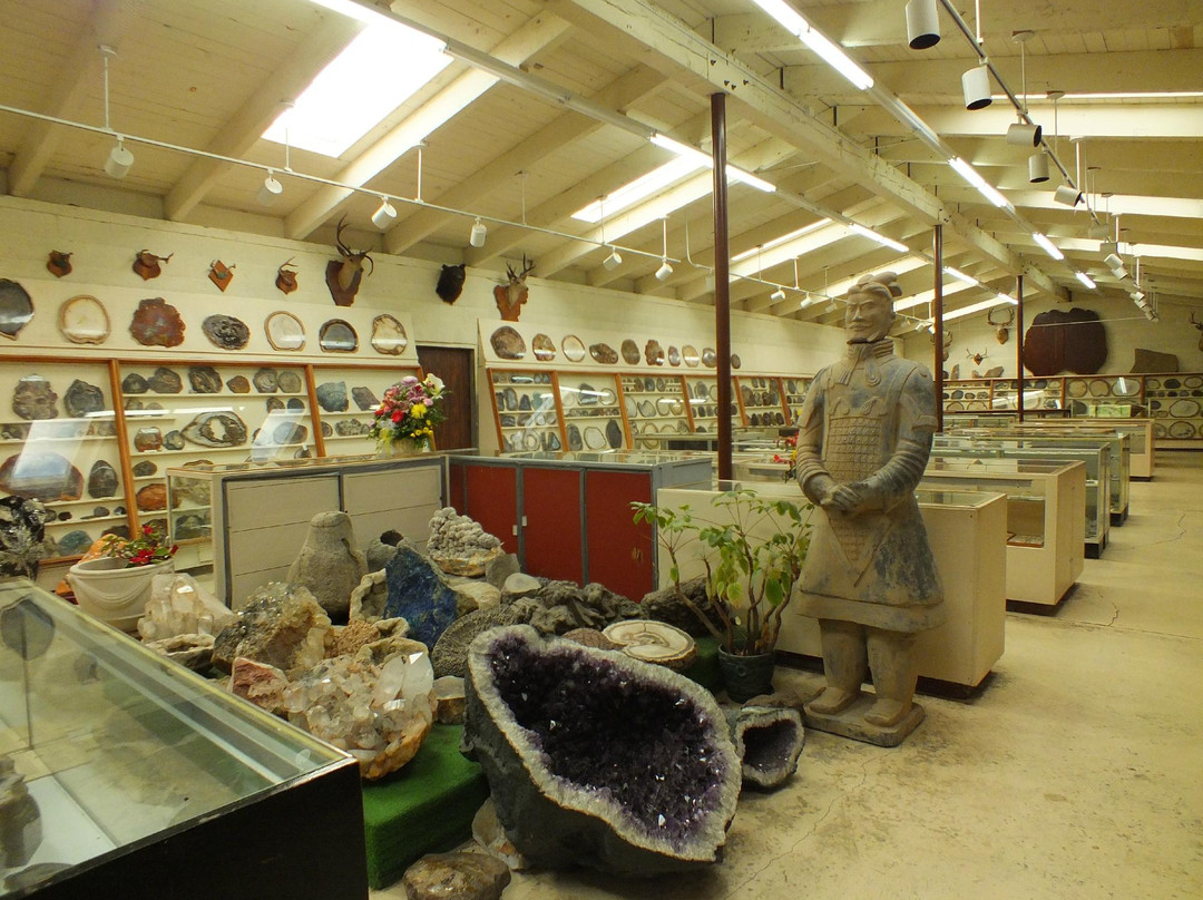 Chapman's Gem & Mineral Shop & Museum景点图片